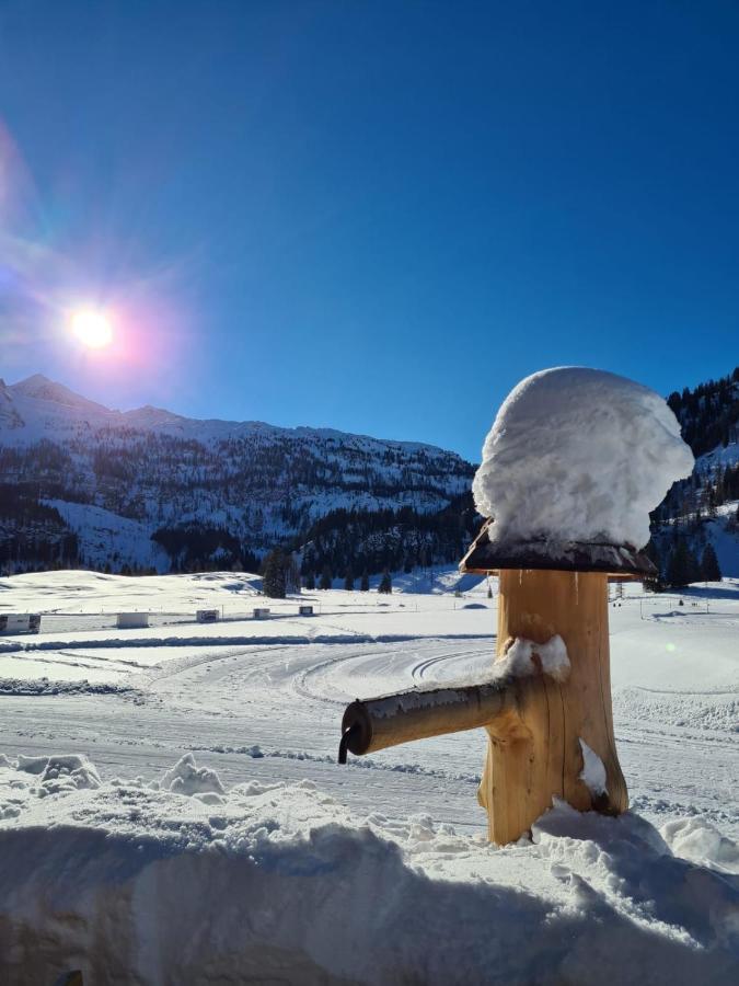 Haus Huber Apartments Altenmarkt im Pongau Εξωτερικό φωτογραφία